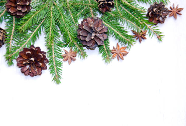 istock Christmas background of tree branches and cones 1062363900