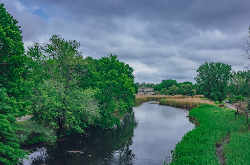Ríos y árboles en pantanos de Back Bay, en Boston, Estados Unidos photo