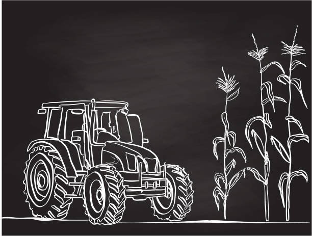 illustrazioni stock, clip art, cartoni animati e icone di tendenza di gesso corn field agricoltura - corn corn crop corn on the cob food