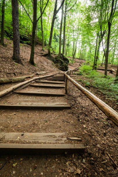 istock Hiking footpath at Saxon Switzerland 1062394750