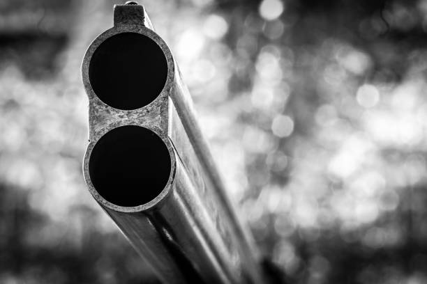 Shotgun and Shells