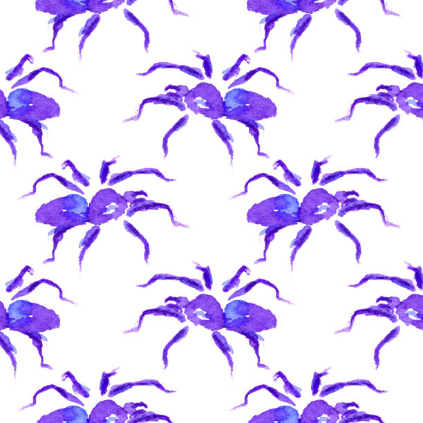 Watercolor seamless pattern of purple spider to Halloween Watercolor seamless pattern of purple spider to Halloween. Hand drawn blue tarantula stock illustrations
