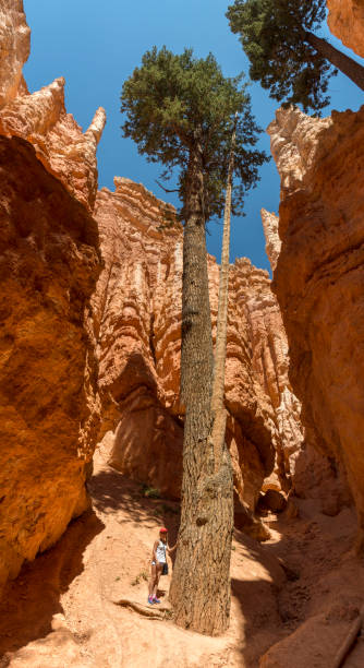istock landscape on the bryce canyon 1062422740
