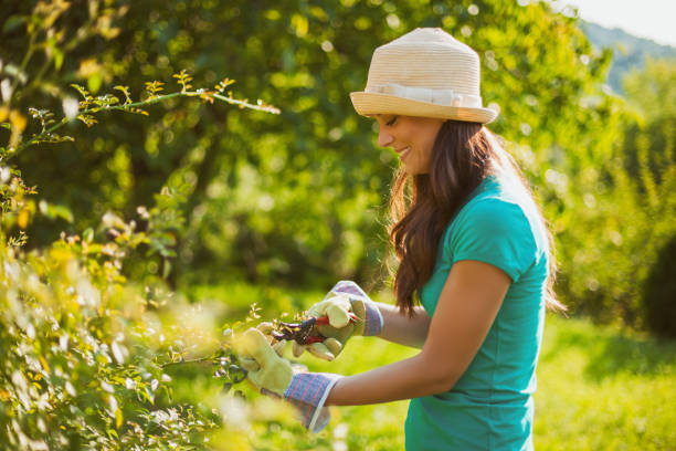 istock Woman gardening 1062429962