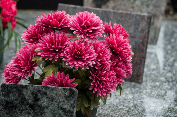 istock pink artificial flowers on tomb in cemetery 1062429976