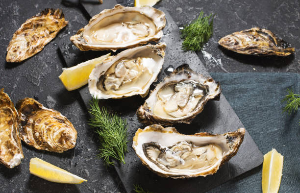 istock Opened Oysters with lemon on dark stone background 1062430120