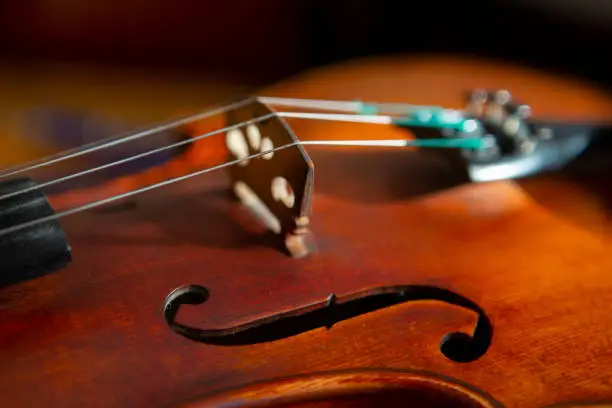 Photo of violin in vintage style on wood background close up