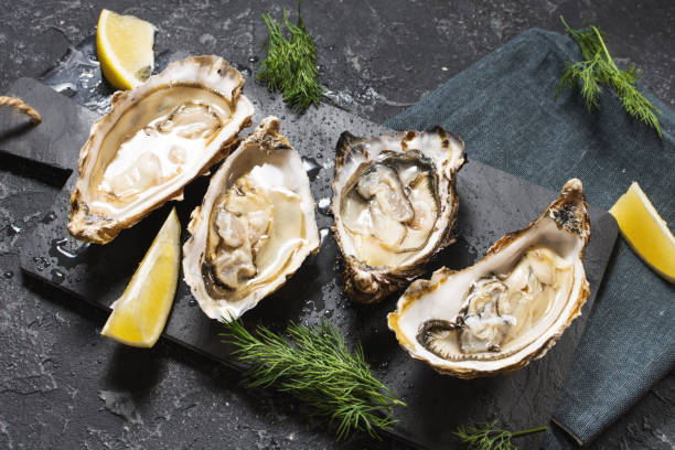 istock Opened Oysters with lemon on dark stone background 1062430216