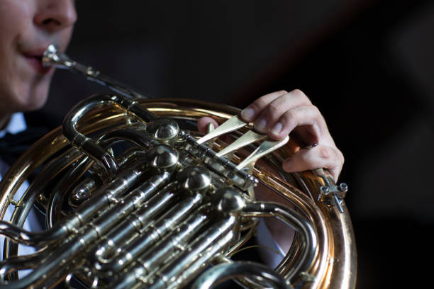 strumento corno francese. mani che giocano a corno - musical instrument close up wind instrument brass instrument foto e immagini stock