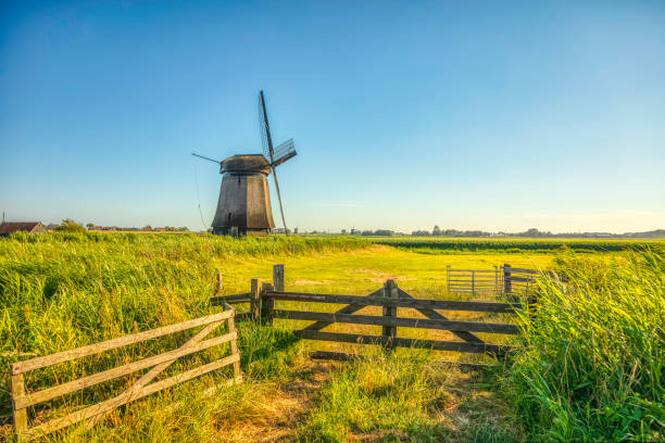 istock Dutch landscape with vintage windmill (HDRi) 1062436470
