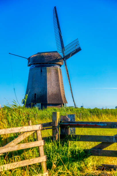 istock Dutch landscape with vintage windmill (HDRi) 1062436482