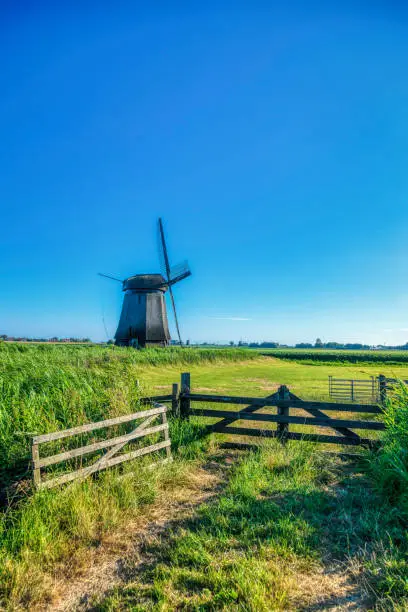 Photo of Dutch landscape with vintage windmill (HDRi)