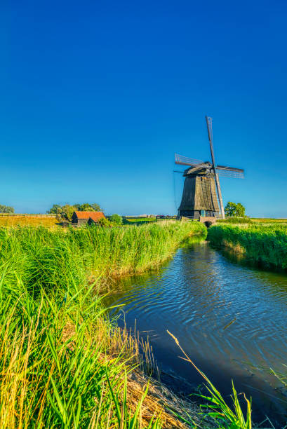 istock Dutch landscape with vintage windmill at sunset (HDRi) 1062439572