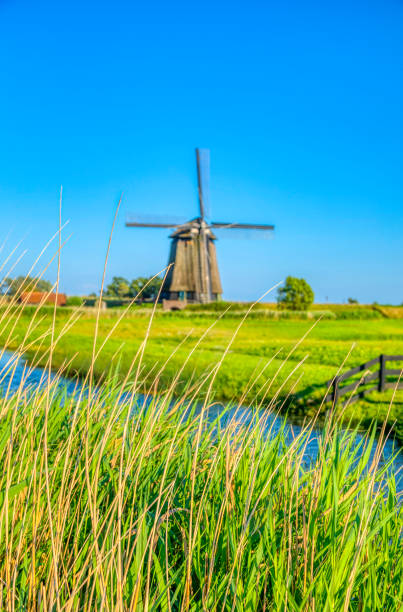 istock Dutch landscape with vintage windmill at sunset (HDRi) 1062439598