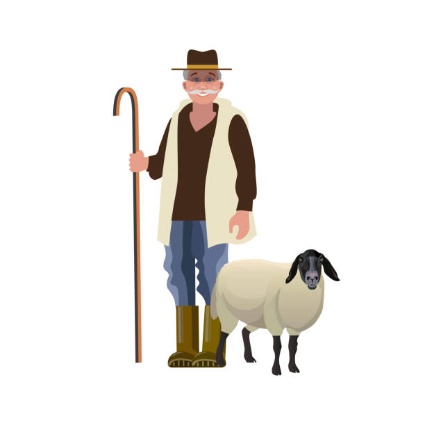 Shepherd with a sheep Portrait of a shepherd with a sheep. Vector illustration isolated on white background sheep farmer stock illustrations