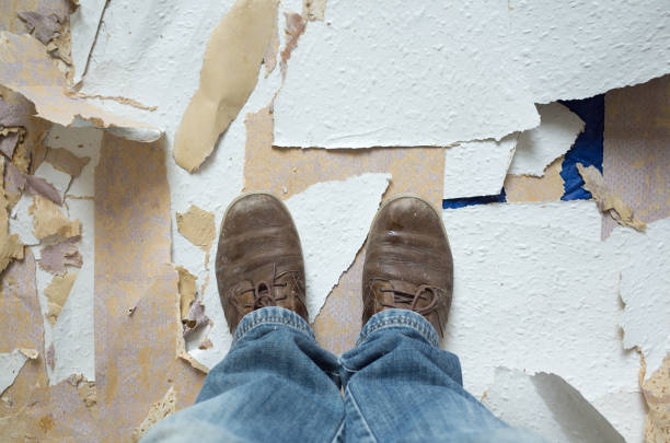 istock Home Renovation and Decoration 1062442846