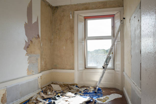 istock Home Renovation and Decoration 1062442904