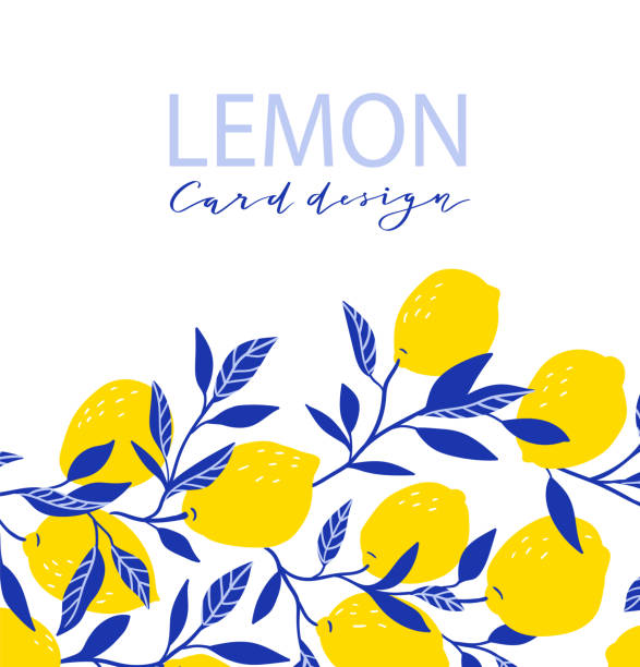 Summer exotic and tropic background design. Composition with lemons and leaves. Vector universal card with place for text. Summer exotic and tropic background design. Composition with lemons and leaves. Vector universal card with place for text. lemon fruit illustrations stock illustrations
