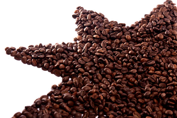 istock bunch of roasted beans of coffee 1062454892