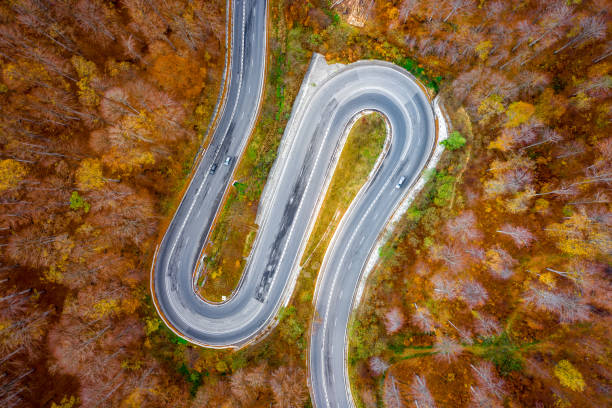 istock Curved scenic road trough a forest in mid-autumn 1062455806