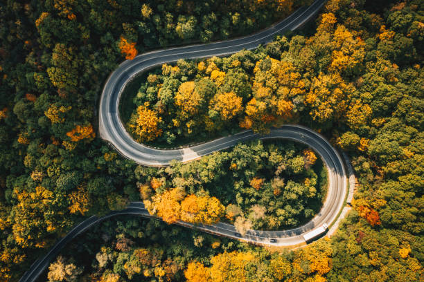 istock Extreme curved winding road in the forest highground view 1062465848