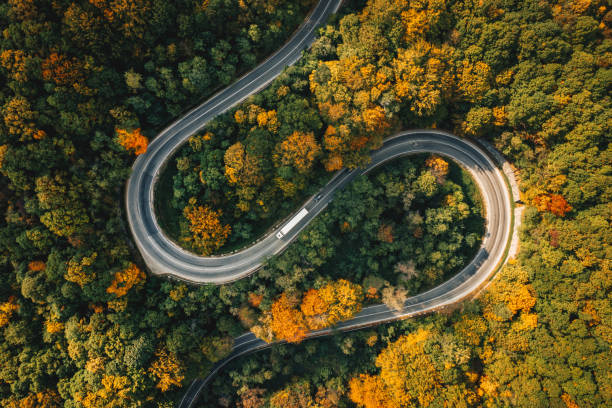 istock Truck on winding road in the forest 1062465856