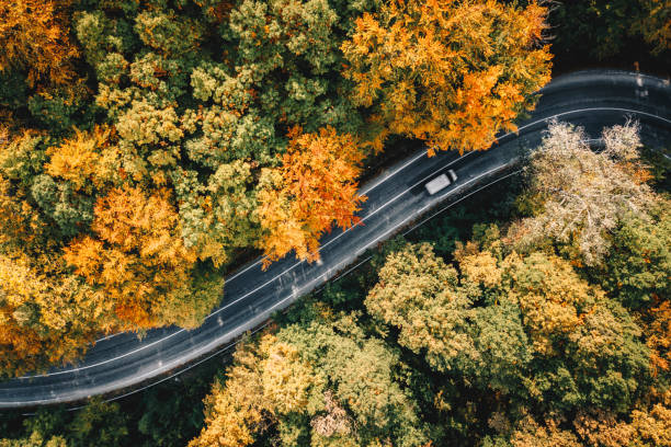 istock Truck passing on a road in fall season 1062466034