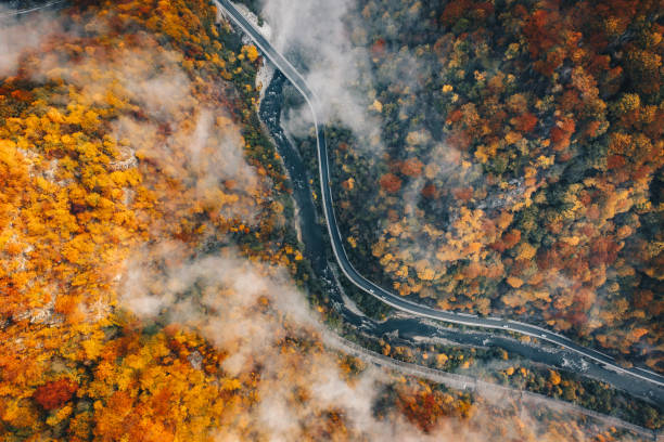 istock Fog on the road aerial view 1062468032