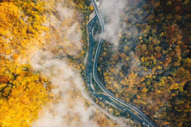 istock Fog on the road aerial view 1062468084