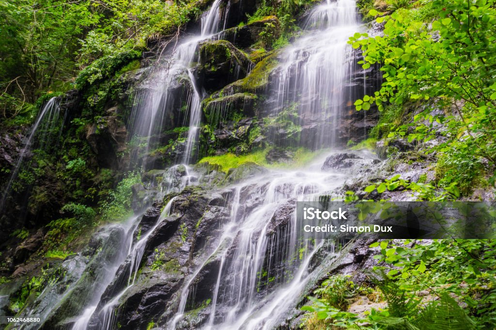 Germany, Zweribach waterfall near Simonswald in mystic black forest atmosphere Black Forest Stock Photo