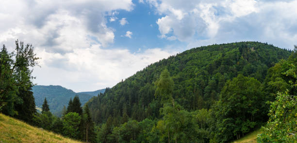 istock Germany, Black forest hiking panorama near Simonswald in summer 1062469980