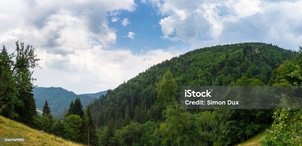 Germany, Black forest hiking panorama near Simonswald in summer Above Stock Photo