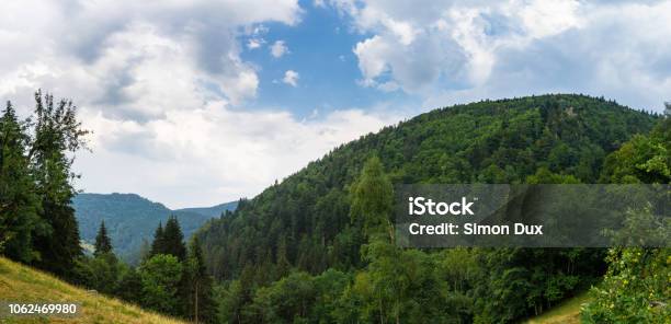 Germany Black Forest Hiking Panorama Near Simonswald In Summer Stock Photo - Download Image Now