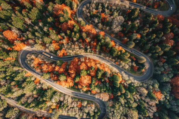 istock Winding curved road in the forest high up in the mountains 1062470108