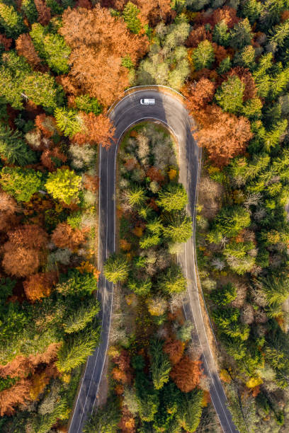 istock Transfagarasan winding road in the fall 1062470404