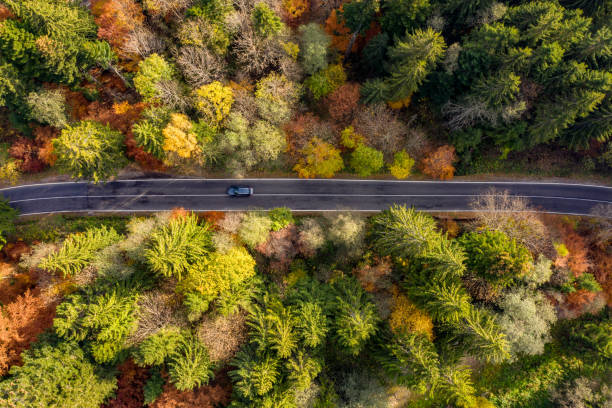istock Transfagarasan winding road in the fall 1062470470