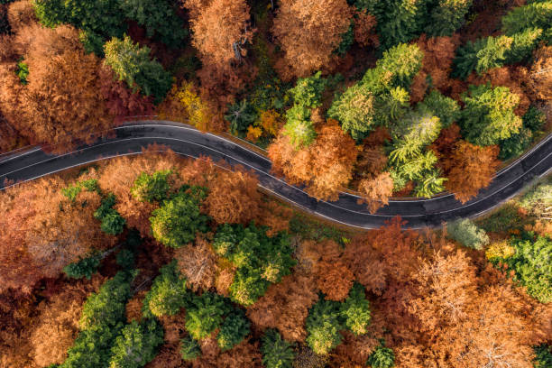 istock Transfagarasan winding road in the fall 1062470616