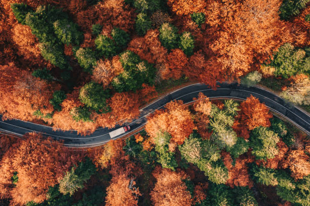 Winding road in the forest in the fall with truck on the road stock photo