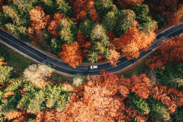 car on the road surrounded by forest in the fall. carpathian mountains, romania - vista aérea de carro isolado imagens e fotografias de stock
