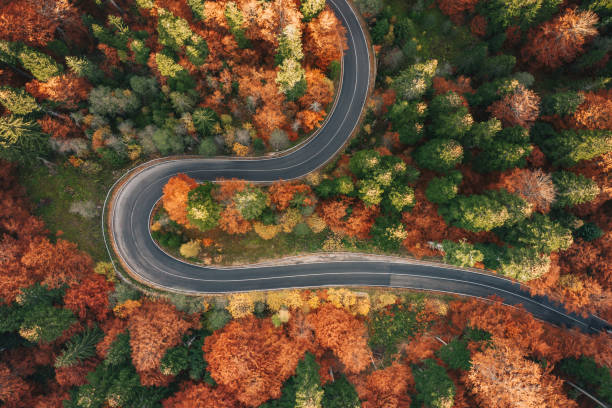 istock Curved winding road surrounded by forest in the Carpathian Mountains 1062470956
