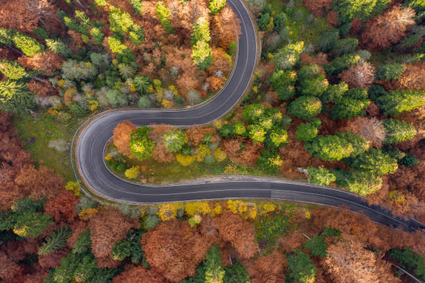 istock Curved winding road surrounded by forest in the Carpathian Mountains 1062470978