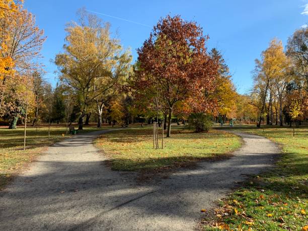 istock Walk in the autumnal park 1062476606