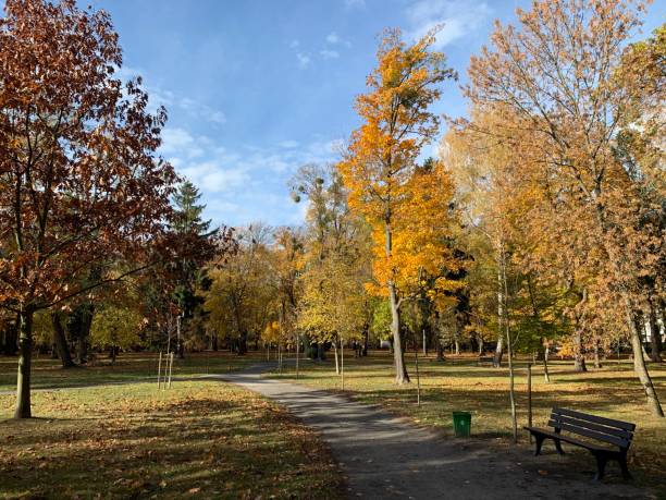 istock Walk in the autumnal park 1062476628