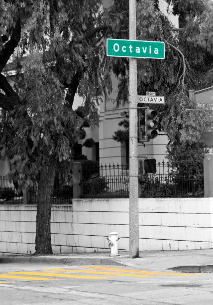 Octavia Street in San Francisco