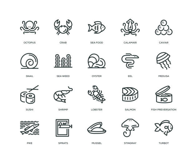 ilustraciones, imágenes clip art, dibujos animados e iconos de stock de iconos de alimentos mar - línea serie - gorgon