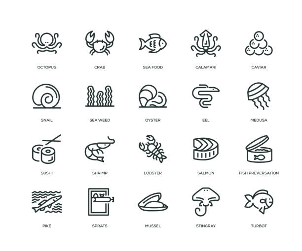 ilustrações de stock, clip art, desenhos animados e ícones de sea food icons - line series - algae