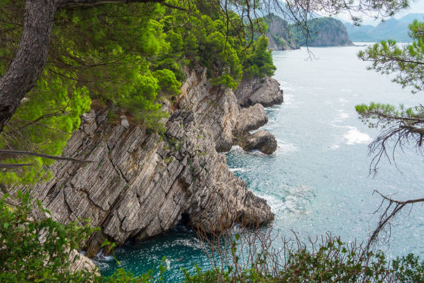 istock Rocky cliff and pines over turquoise sea 1062487396