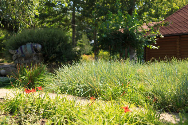 istock Summer park in the city 1062491876