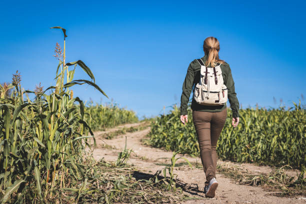 istock Woman with backpack hiking in countryside. 1062507094
