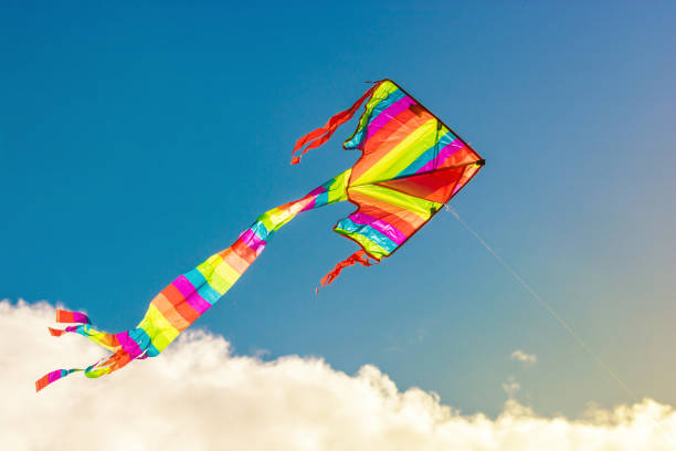 istock Kite flies in the wind in sunny light and slightly cloudy sky in the background 1062507268